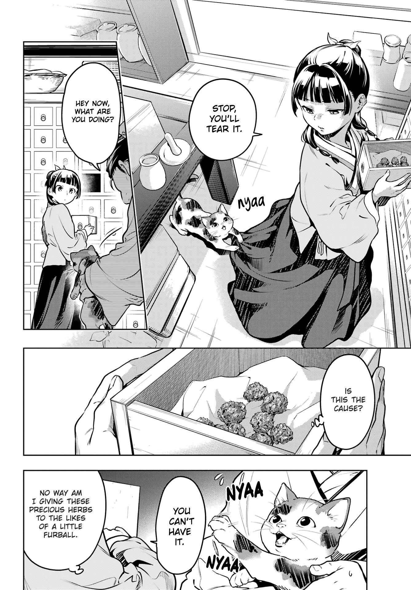 The Apothecary Diaries, Chapter 70 image 10